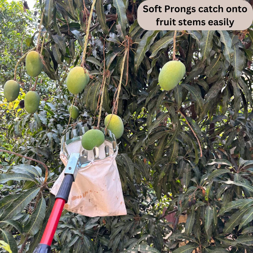 Fruit Picker Basket Tool With Storage Bag
