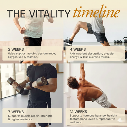 Himalayan Energy Stick Shilajit Honey | 30 Pcs