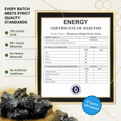 Himalayan Energy Stick Shilajit Honey | 30 Pcs